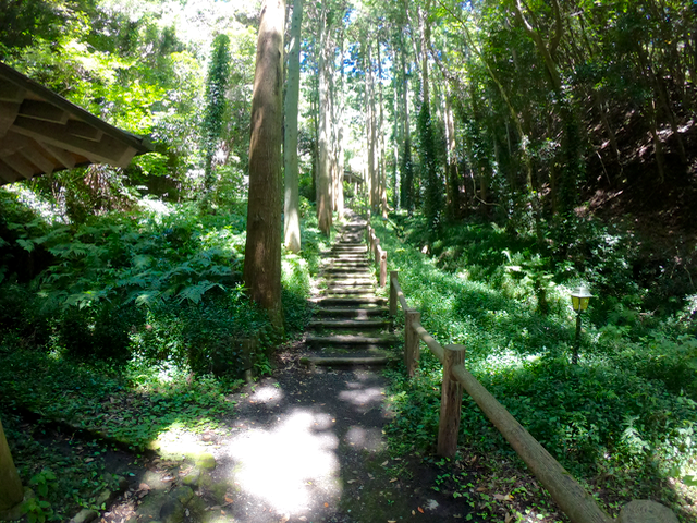 富山往路6（伏姫籠穴2）201808