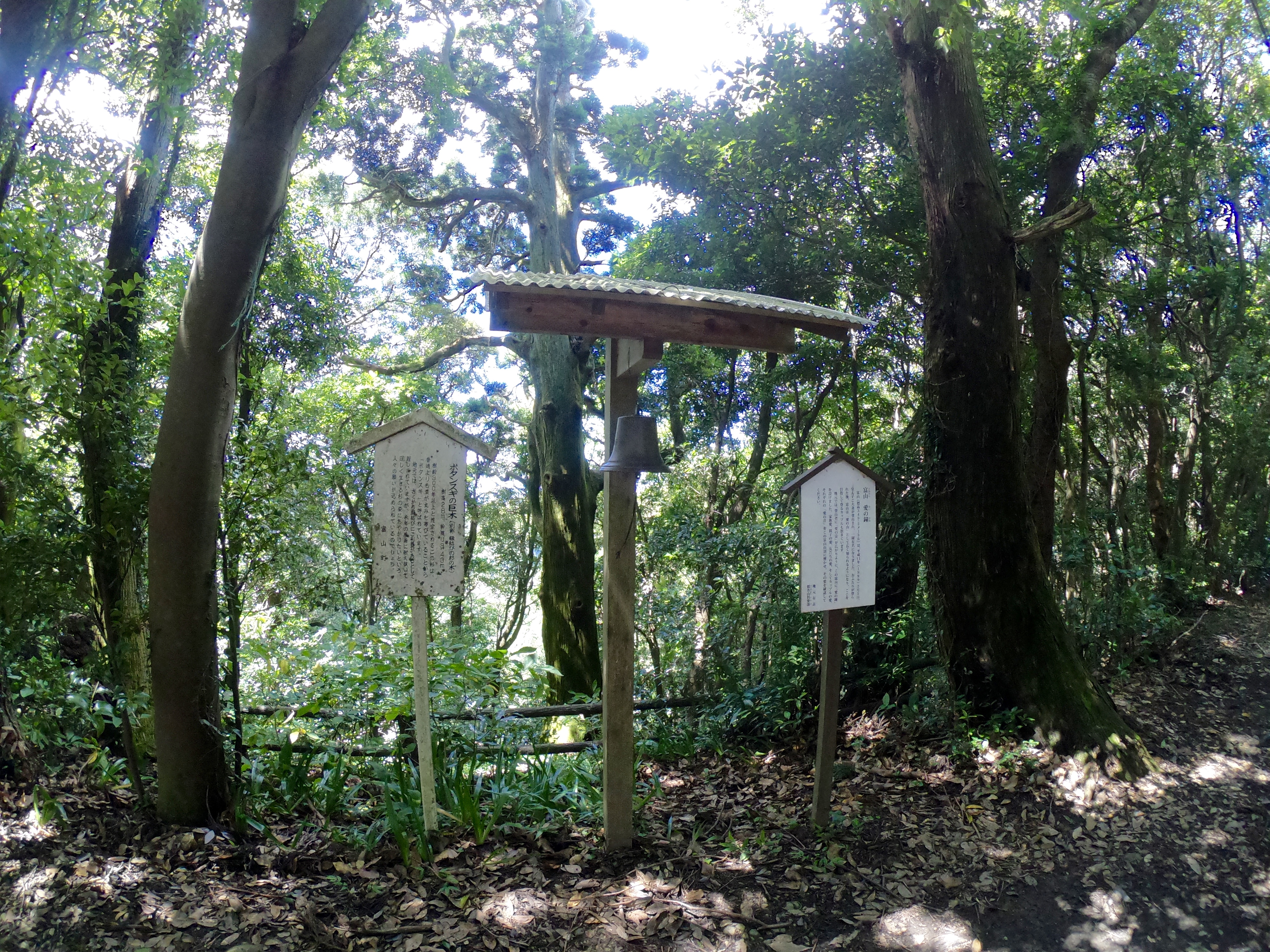 富山往路13（愛の鐘）