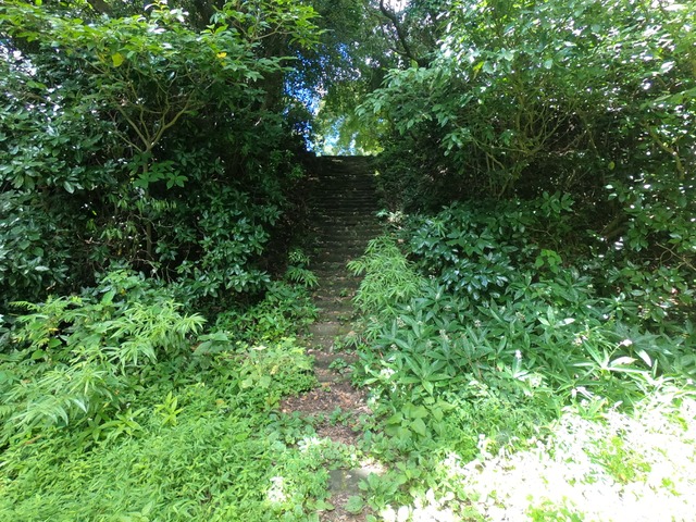 富山復路1（途中に何やら分岐する階段が。。）201808