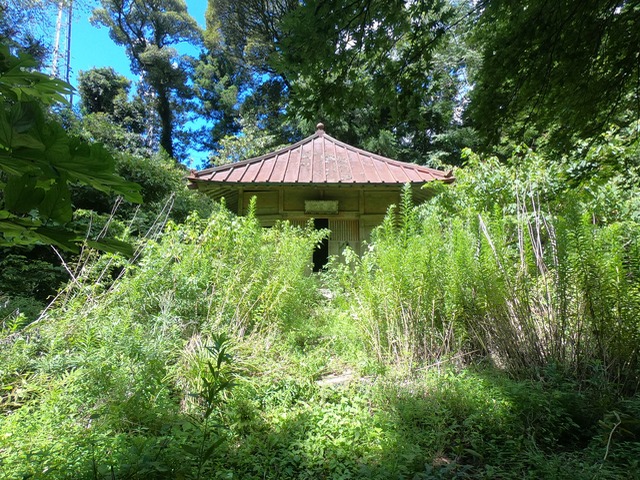 富山復路2（草ぼうぼうの観音堂）201808