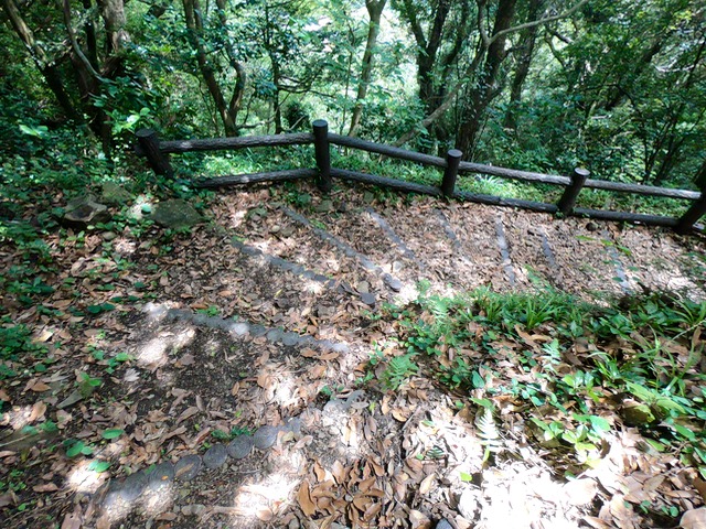 富山復路5（階段で膝をやられないように）201808