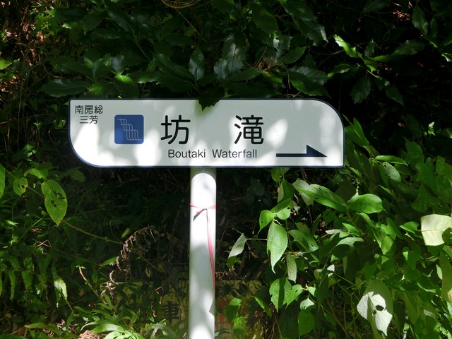 「大日山〜御殿山」往路04（　）201809