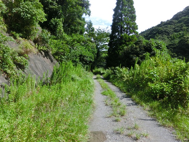 「大日山〜御殿山」往路05（　）201809