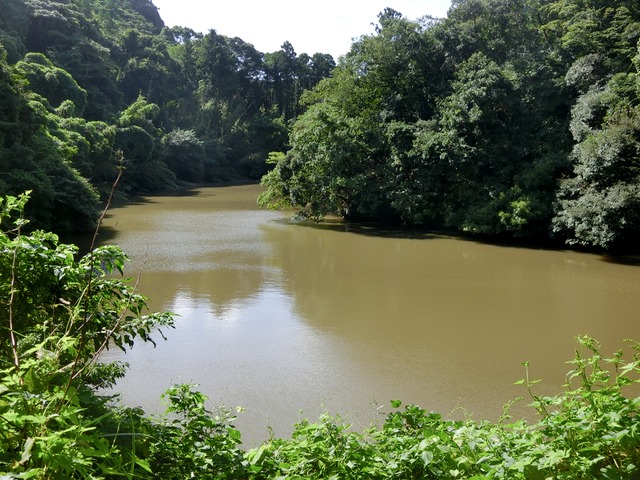 「大日山〜御殿山」往路06（　）201809