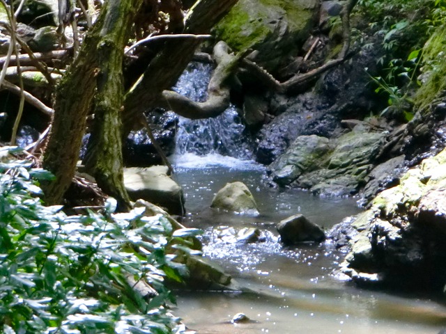 「大日山〜御殿山」往路07（　）201809