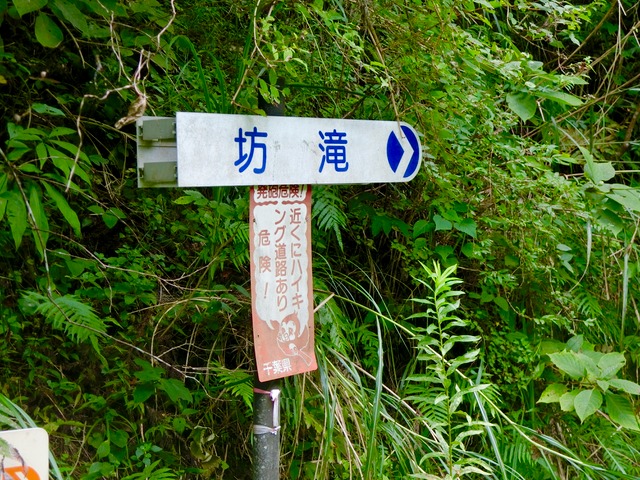 「大日山〜御殿山」往路10（　）201809