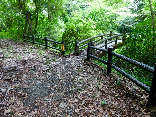 「大日山〜御殿山」往路14( )201809