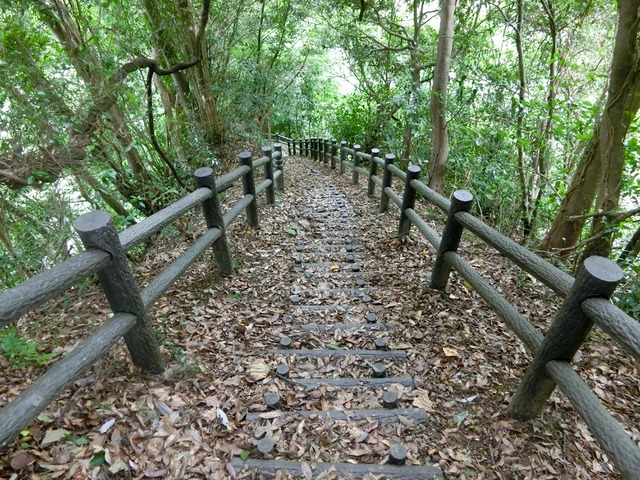 「大日山〜御殿山」往路15( )201809
