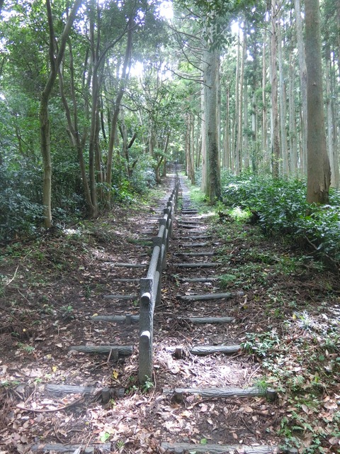 「大日山〜御殿山」往路17( )201809
