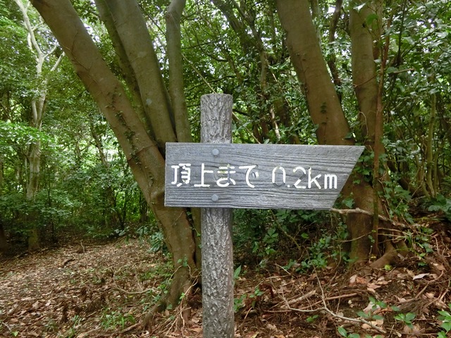 「大日山〜御殿山」往路18( )201809