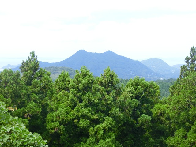 「大日山〜御殿山」往路19( )201809