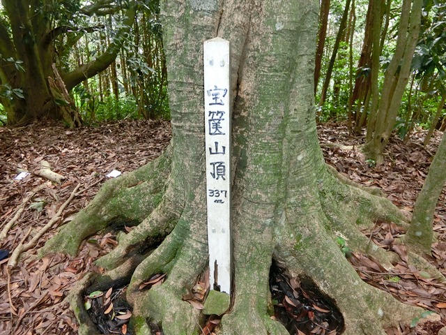 「大日山〜御殿山」往路23（　）201809