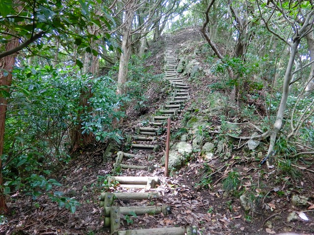 「大日山〜御殿山」往路25（　）201809