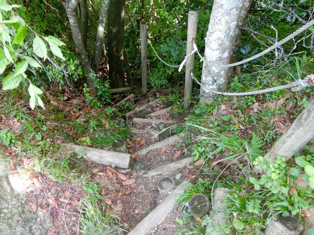 「大日山〜御殿山」往路27（　）201809