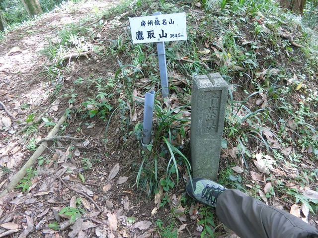 「大日山〜御殿山」往路28（　）201809