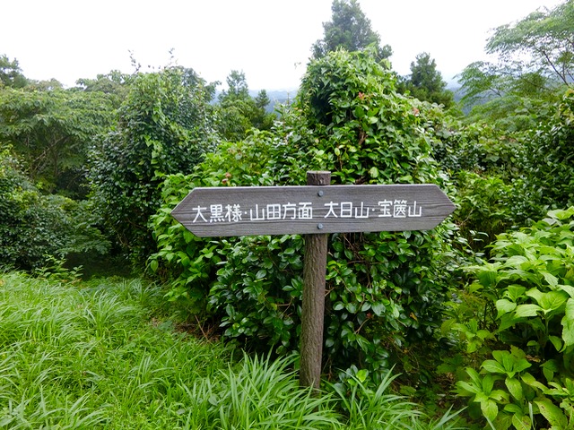 「大日山〜御殿山」往路31（　）201809