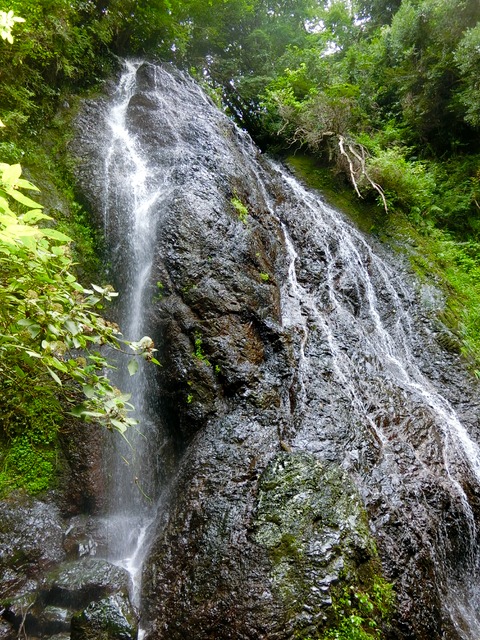 千葉低山：大日山（坊滝）→御殿山（その1）