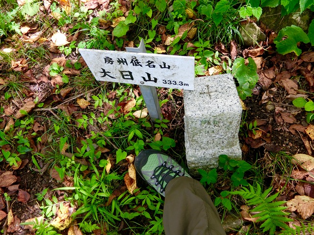 千葉低山：大日山（坊滝）→御殿山（その2）