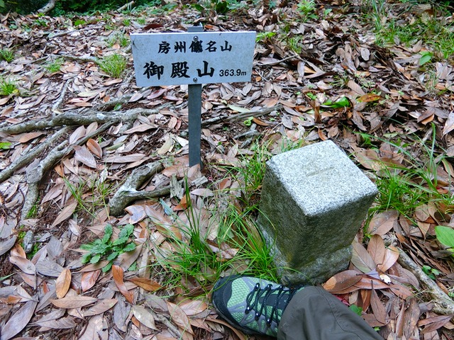 千葉低山：大日山（坊滝）→御殿山（その3）