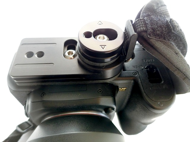 コットンキャリア ストラップショット12