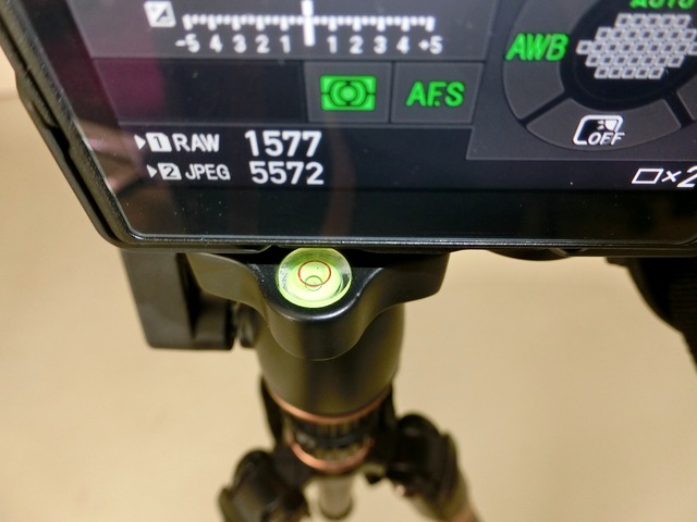 コットンキャリア ストラップショット14