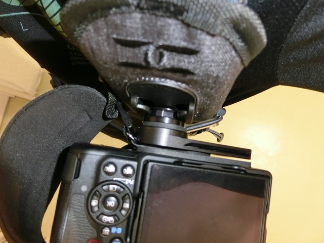 コットンキャリア ストラップショット26