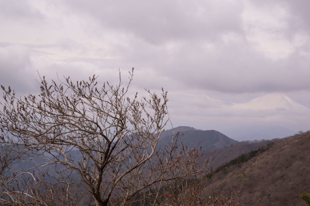 丹沢：塔の岳05（チョコっと富士山）201904