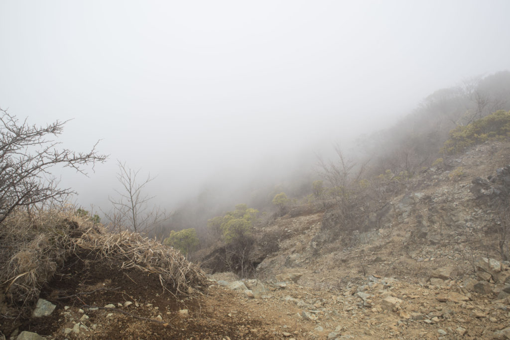 丹沢：塔の岳07（濃霧。。）201904