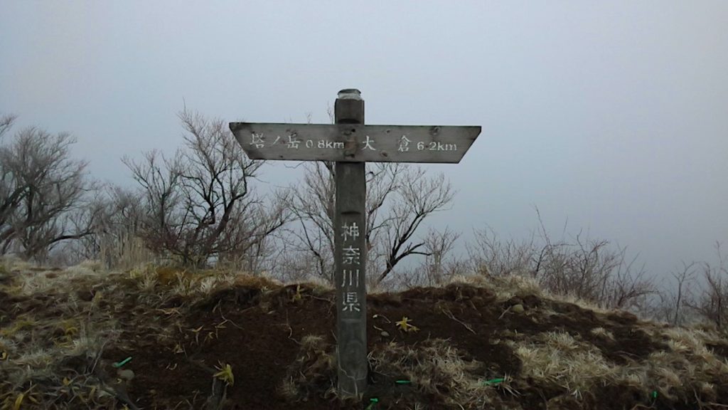 丹沢：塔の岳09（もうすぐかな）201904