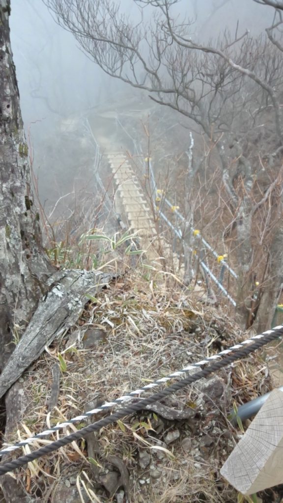 丹沢：塔の岳11（いい感じ）201904