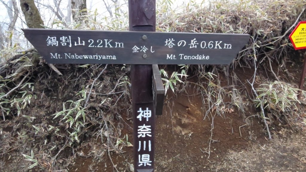 丹沢：塔の岳17（鍋割山の分岐）201904